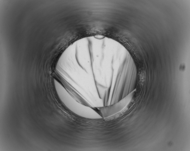 X0000097970617200804211013