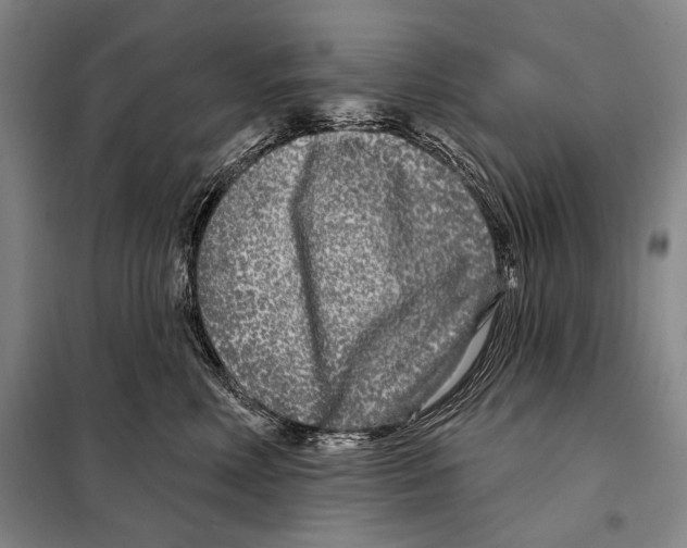 X0000097970618200804211013