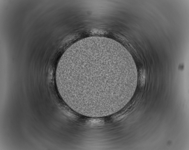 X0000097970619200804211013