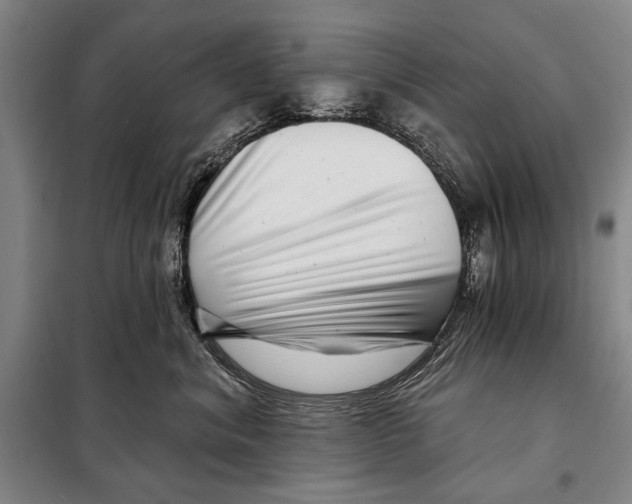 X0000097970620200804211013