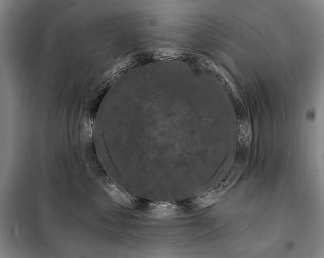 X0000097970621200804211013