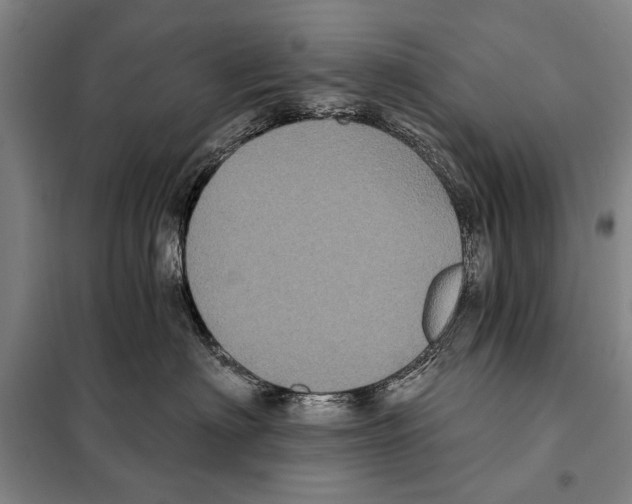 X0000097970622200804211013