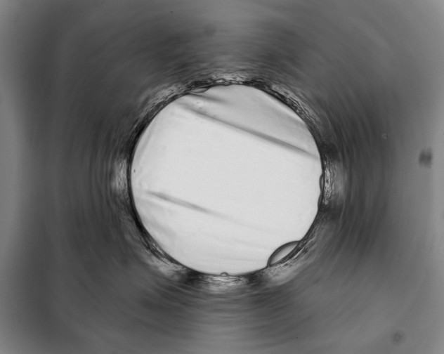 X0000097970623200804211013