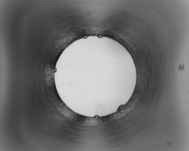 X0000097970624200804211013