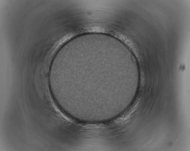 X0000097970625200804211012