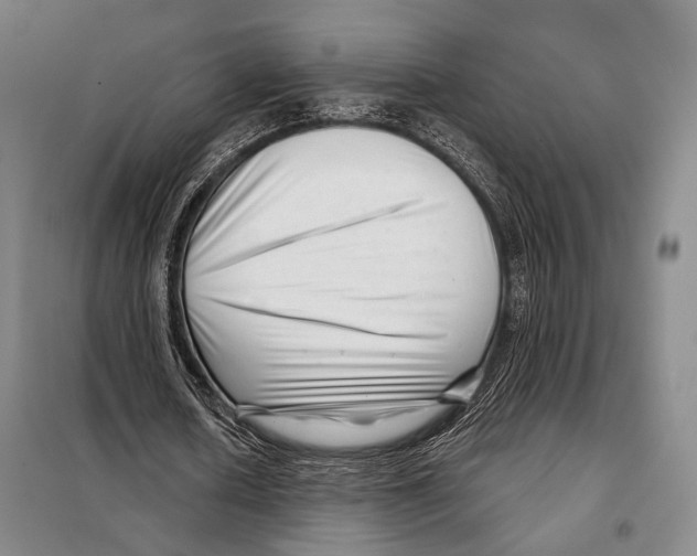 X0000097970626200804211012