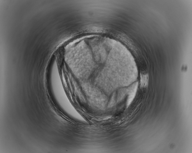 X0000097970627200804211012