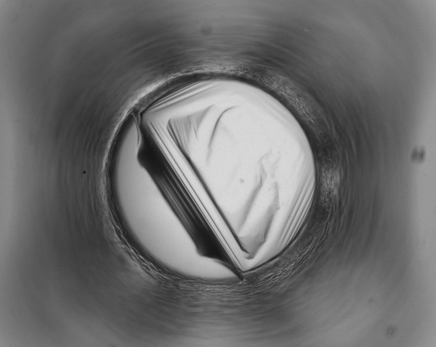 X0000097970628200804211012