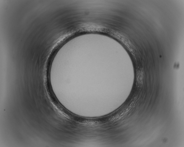 X0000097970629200804211012