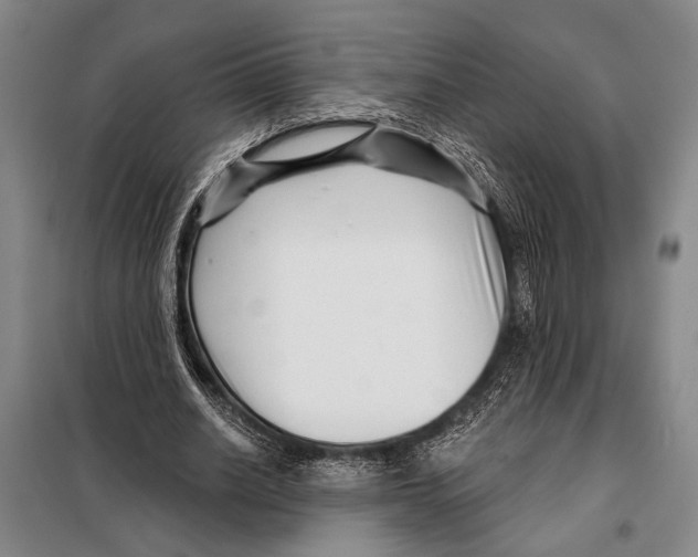 X0000097970630200804211012
