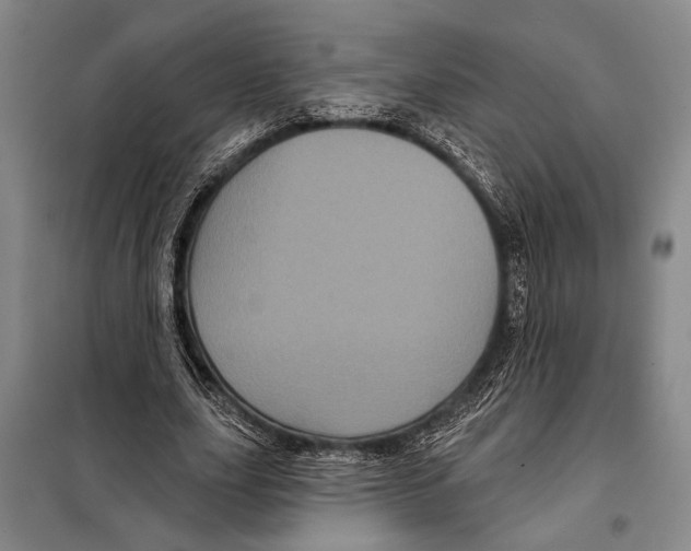 X0000097970631200804211012