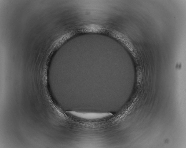 X0000097970633200804211012