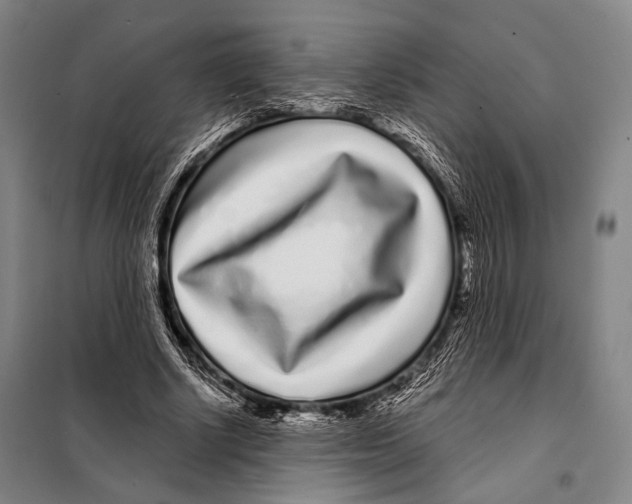 X0000097970634200804211012
