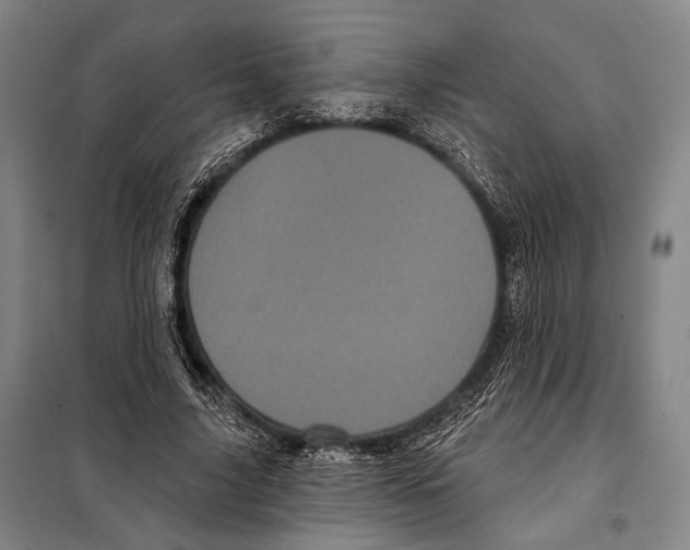 X0000097970635200804211012