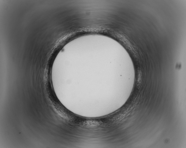 X0000097970636200804211012