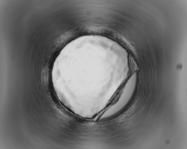X0000097970637200804211012