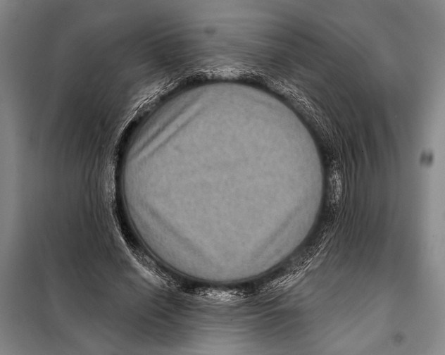 X0000097970638200804211012