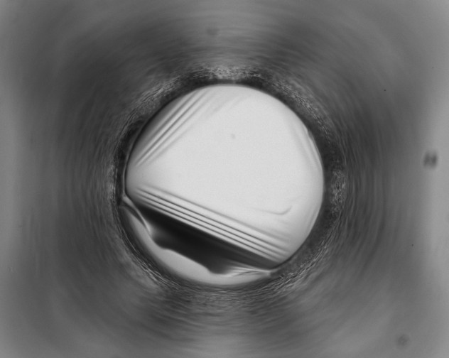 X0000097970639200804211012