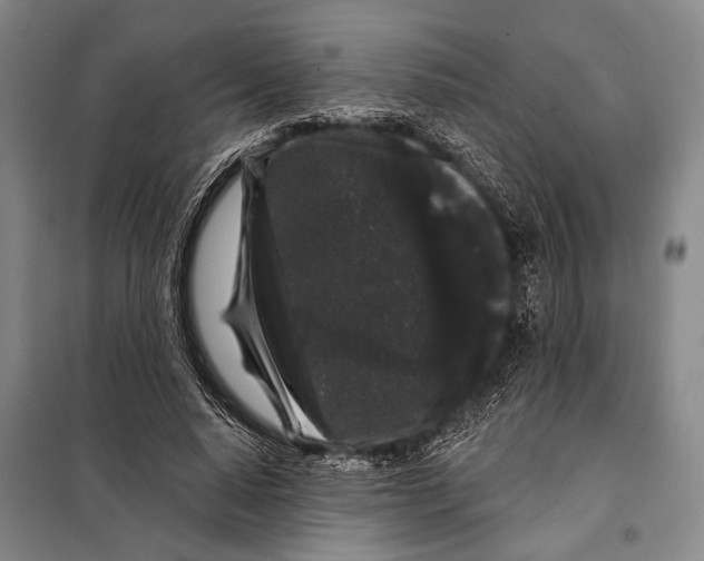 X0000097970640200804211012