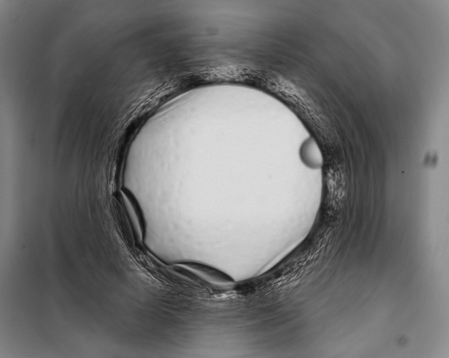 X0000097970642200804211012
