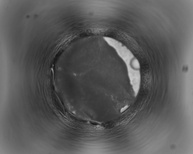 X0000097970644200804211012