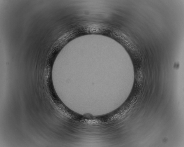 X0000097970645200804211012