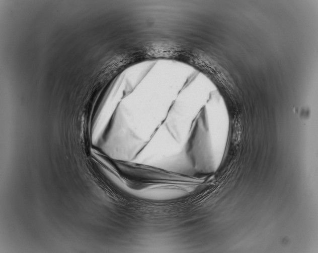X0000097970647200804211012