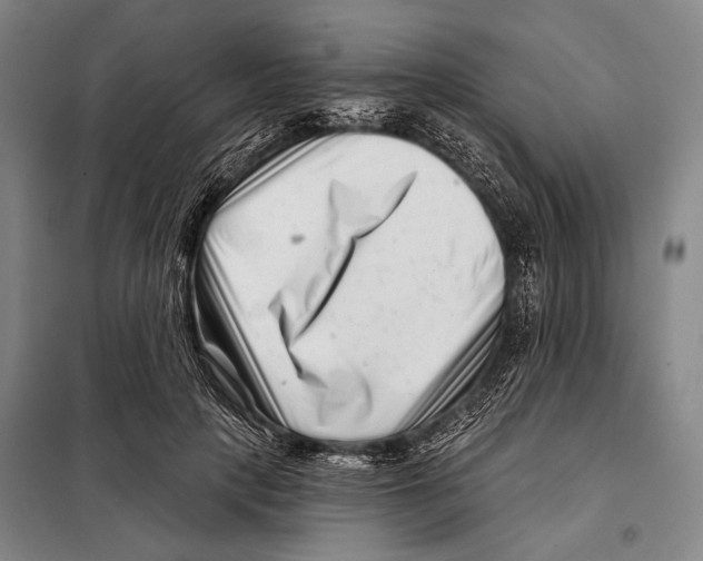 X0000097970649200804211012