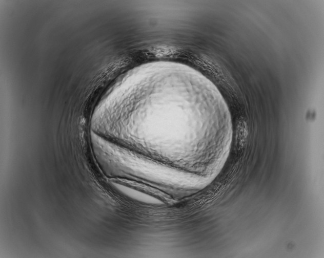 X0000097970650200804211013