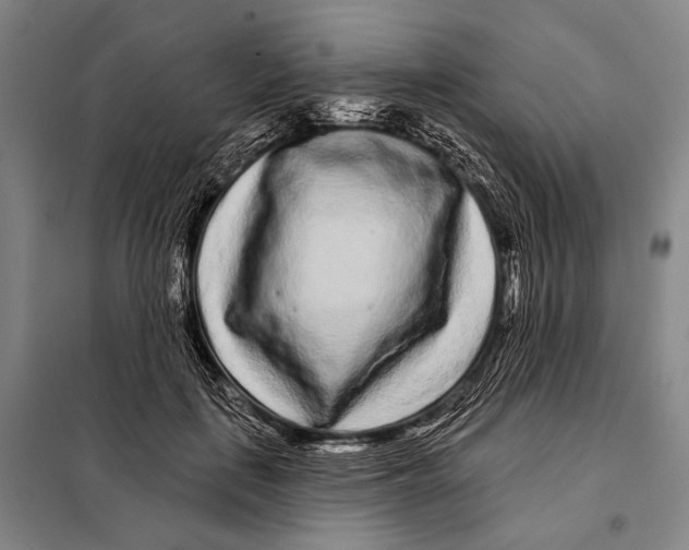 X0000097970651200804211013