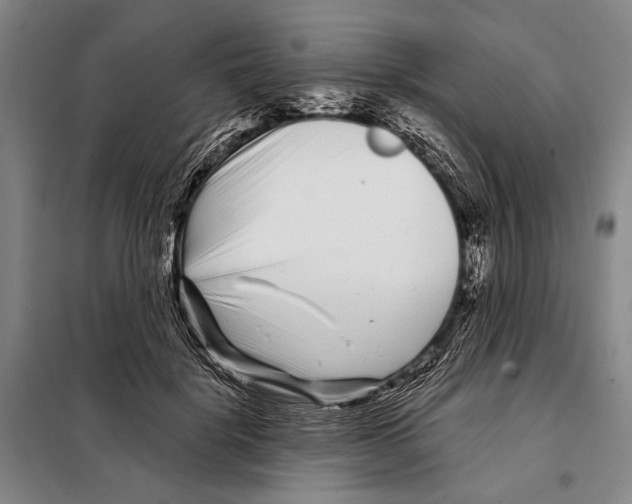 X0000097970652200804211013