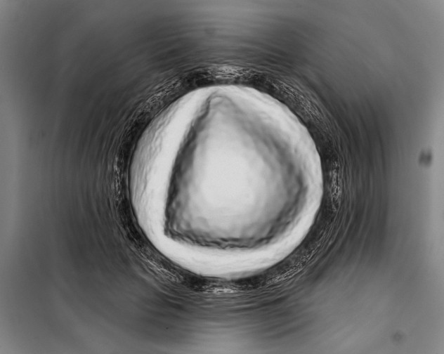 X0000097970653200804211013