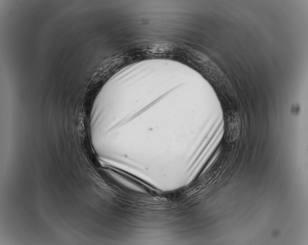 X0000097970654200804211013