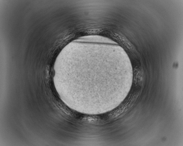 X0000097970655200804211013