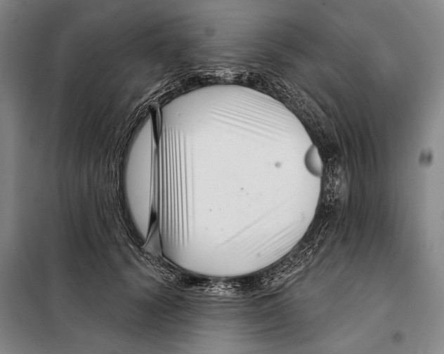 X0000097970656200804211013