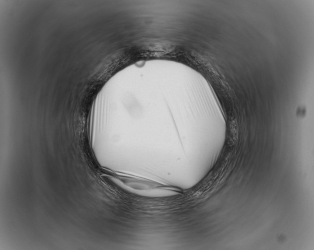 X0000097970657200804211013