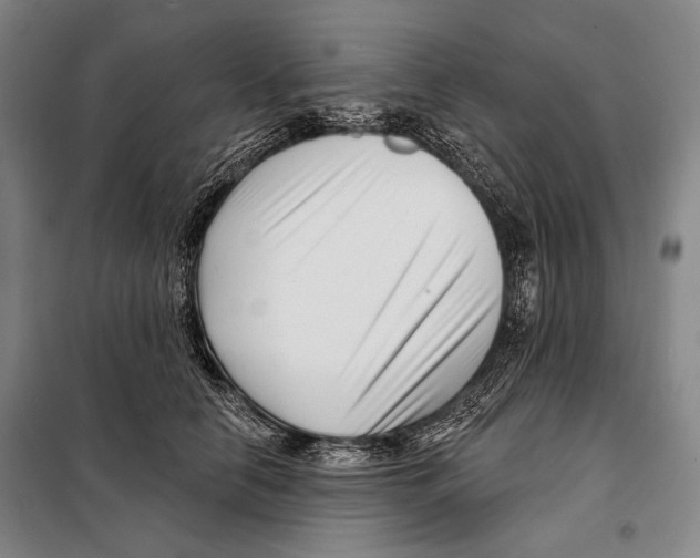 X0000097970658200804211013