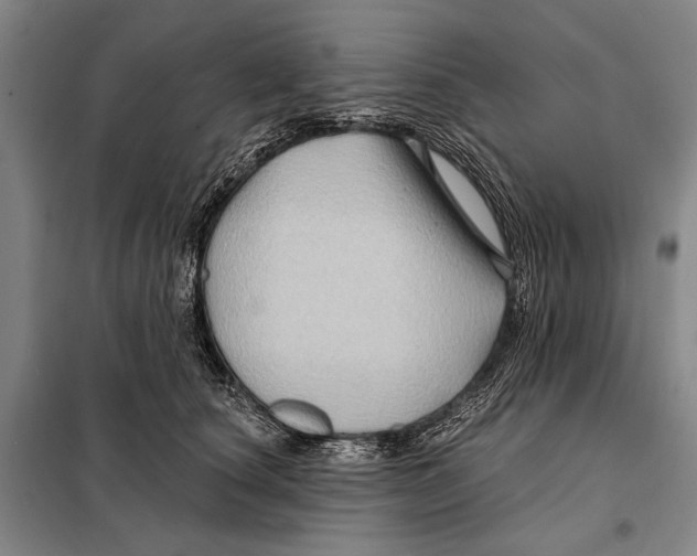 X0000097970660200804211013