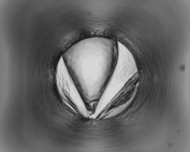 X0000097970661200804211013