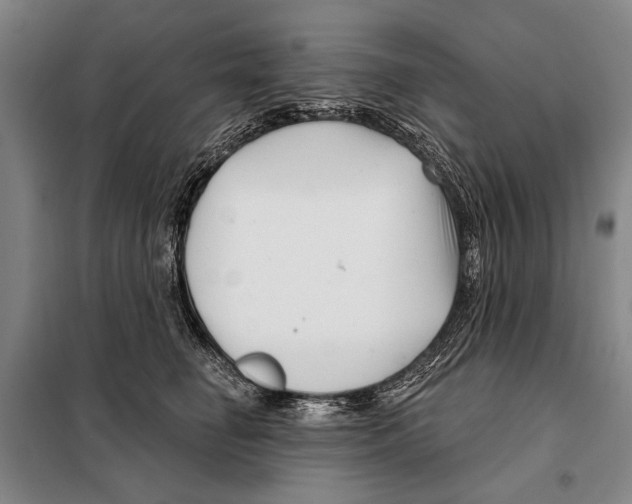 X0000097970662200804211013
