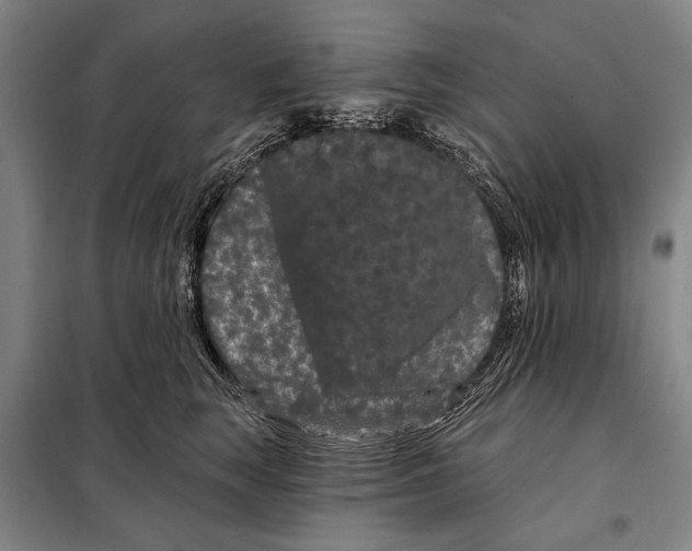 X0000097970663200804211013