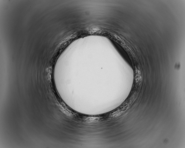 X0000097970664200804211013