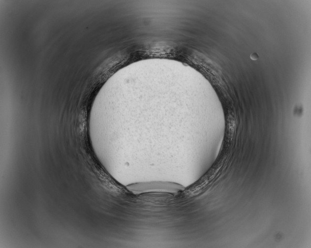 X0000097970665200804211013