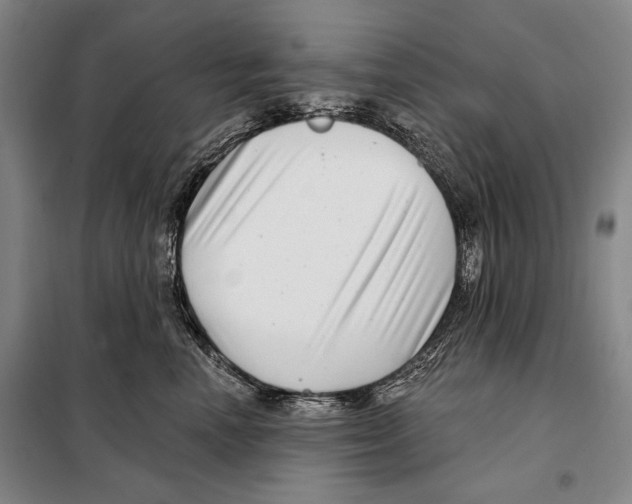 X0000097970666200804211013