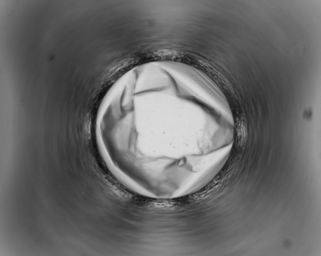 X0000097970668200804211013