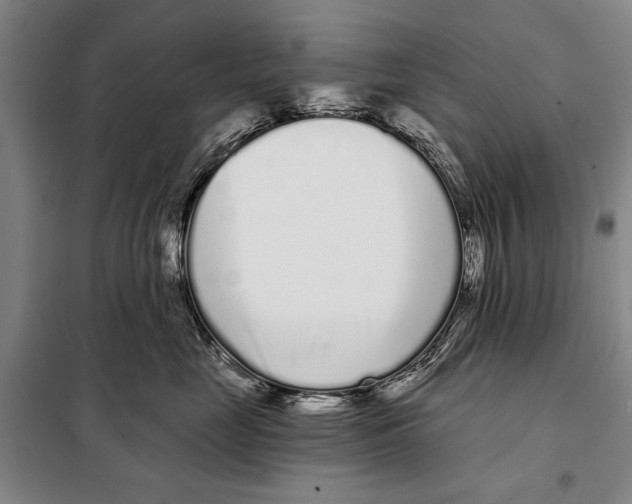 X0000097970669200804211013