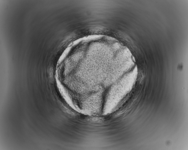 X0000097970670200804211013