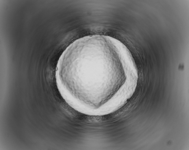 X0000097970671200804211013