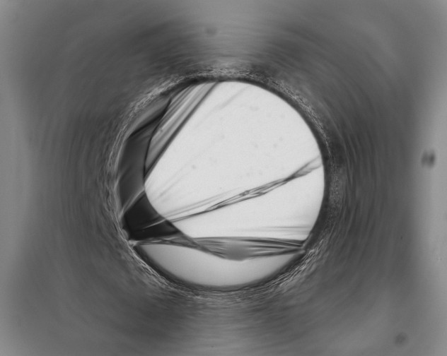 X0000097970673200804211012