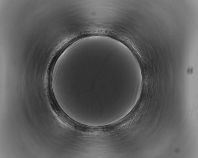 X0000097970674200804211012